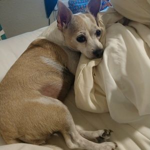 Meet your Posher, Tracy